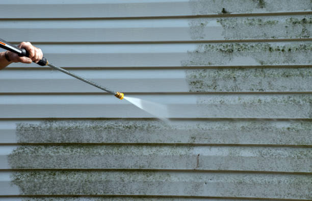 Best Pressure Washing Patio  in De Leon, TX